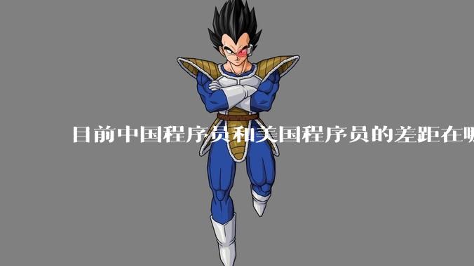 目前中国程序员和美国程序员的差距在哪里？