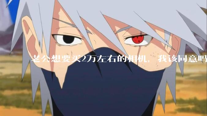 老公想要买2万左右的相机，我该同意吗？