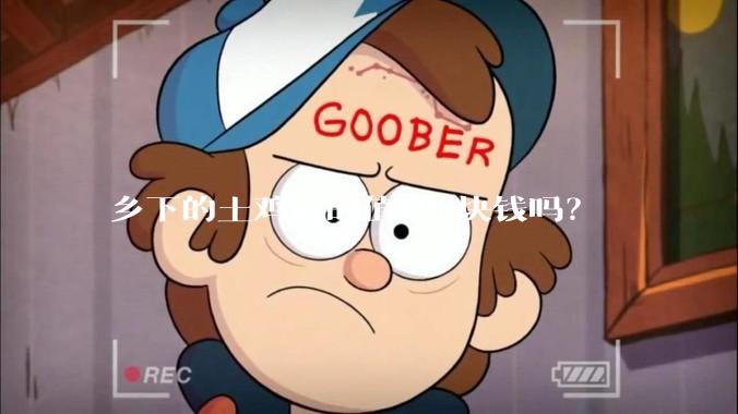 乡下的土鸡真的值100块钱吗？