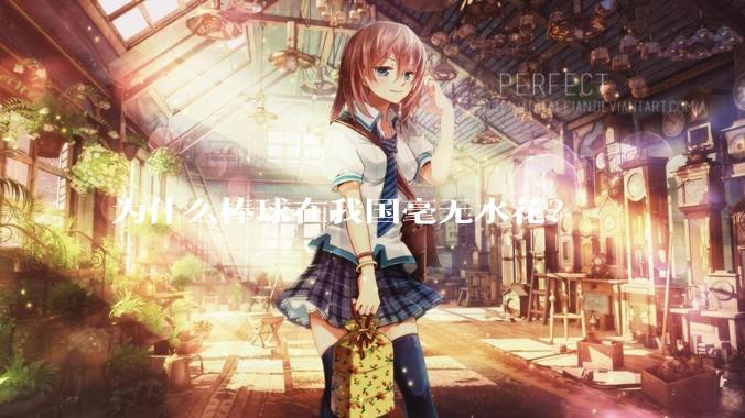 为什么棒球在我国毫无水花？