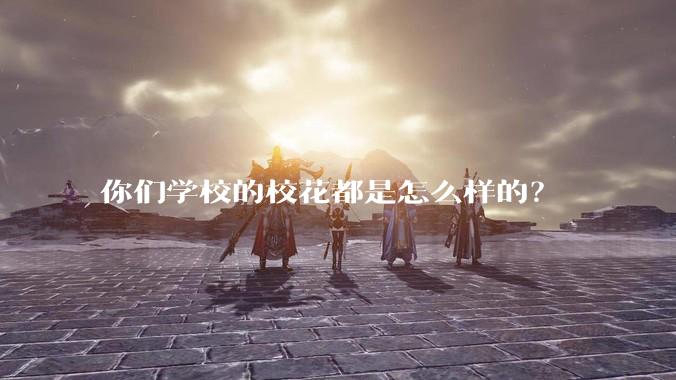 你们学校的校花都是怎么样的？