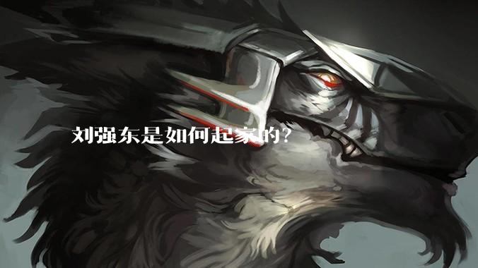 刘强东是如何起家的？