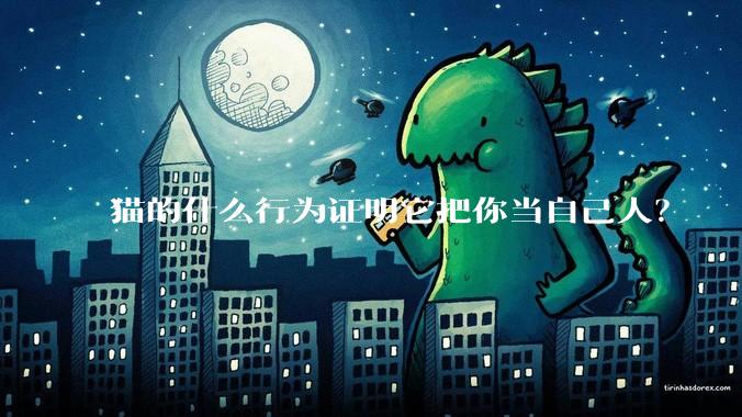 猫的什么行为证明它把你当自己人？