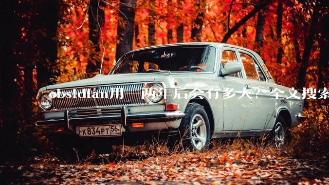 obsidian用一两年后会有多大？全文搜索还快吗？