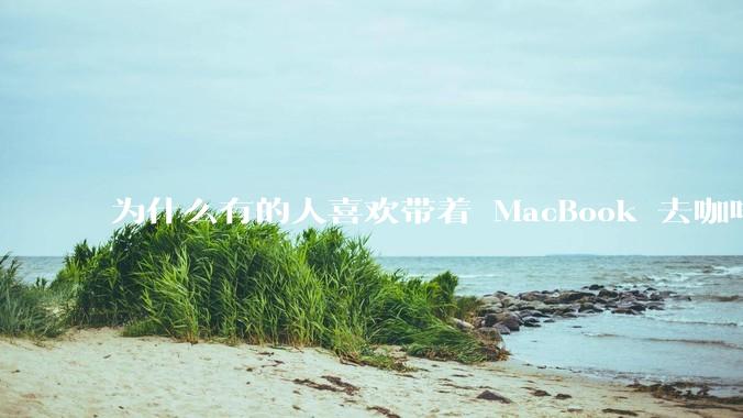 为什么有的人喜欢带着 MacBook 去咖啡店或者书店上网，而不是 ThinkPad 之类的？