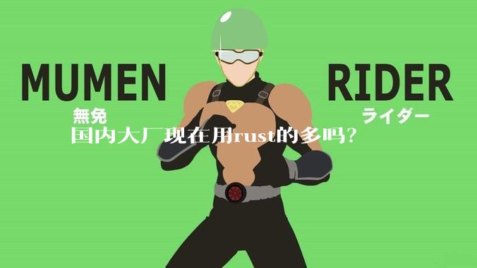 国内大厂现在用rust的多吗？