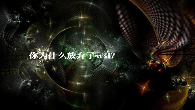 你为什么放弃了wsl？