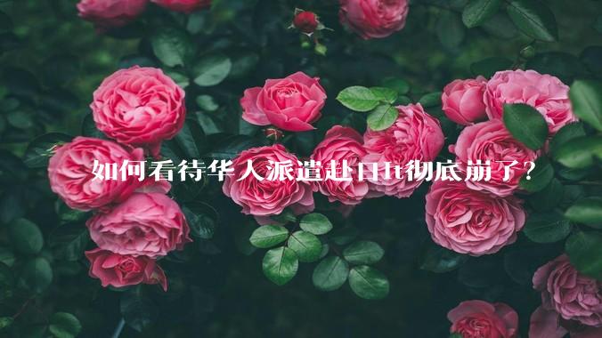 如何看待华人派遣赴日it彻底崩了？