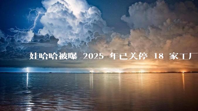 娃哈哈被曝 2025 年已关停 18 家工厂，此前曾回应纯净水由今麦郎代工，娃哈哈到底在布局什么？
